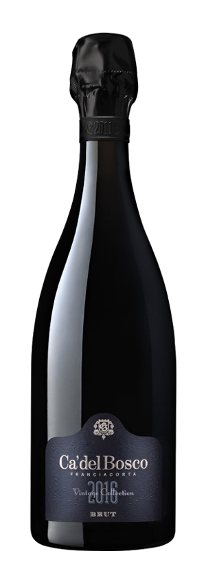 etichetta vino fronte